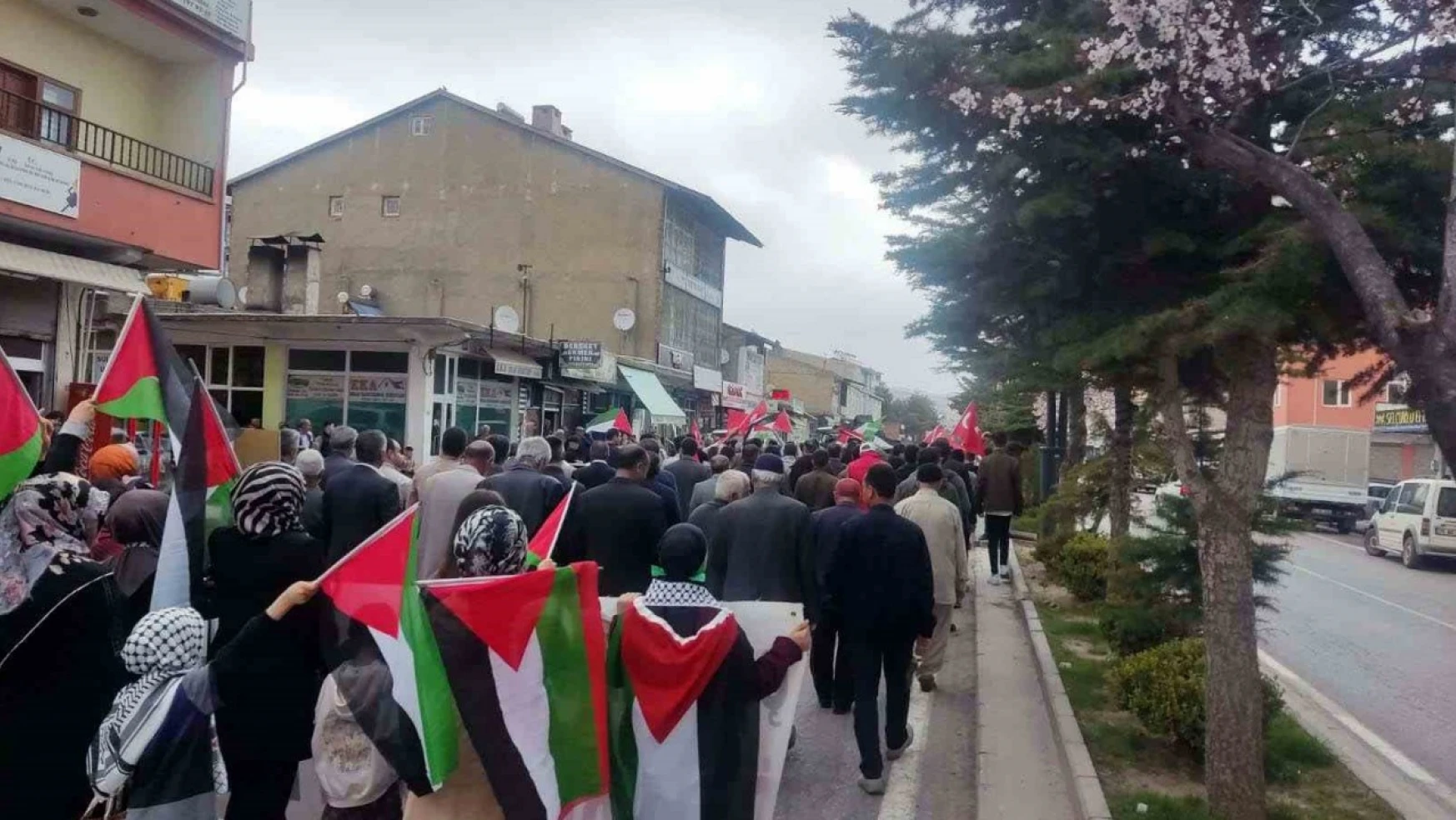 Ahlat'ta Filistin için yürüyüş düzenlendi
