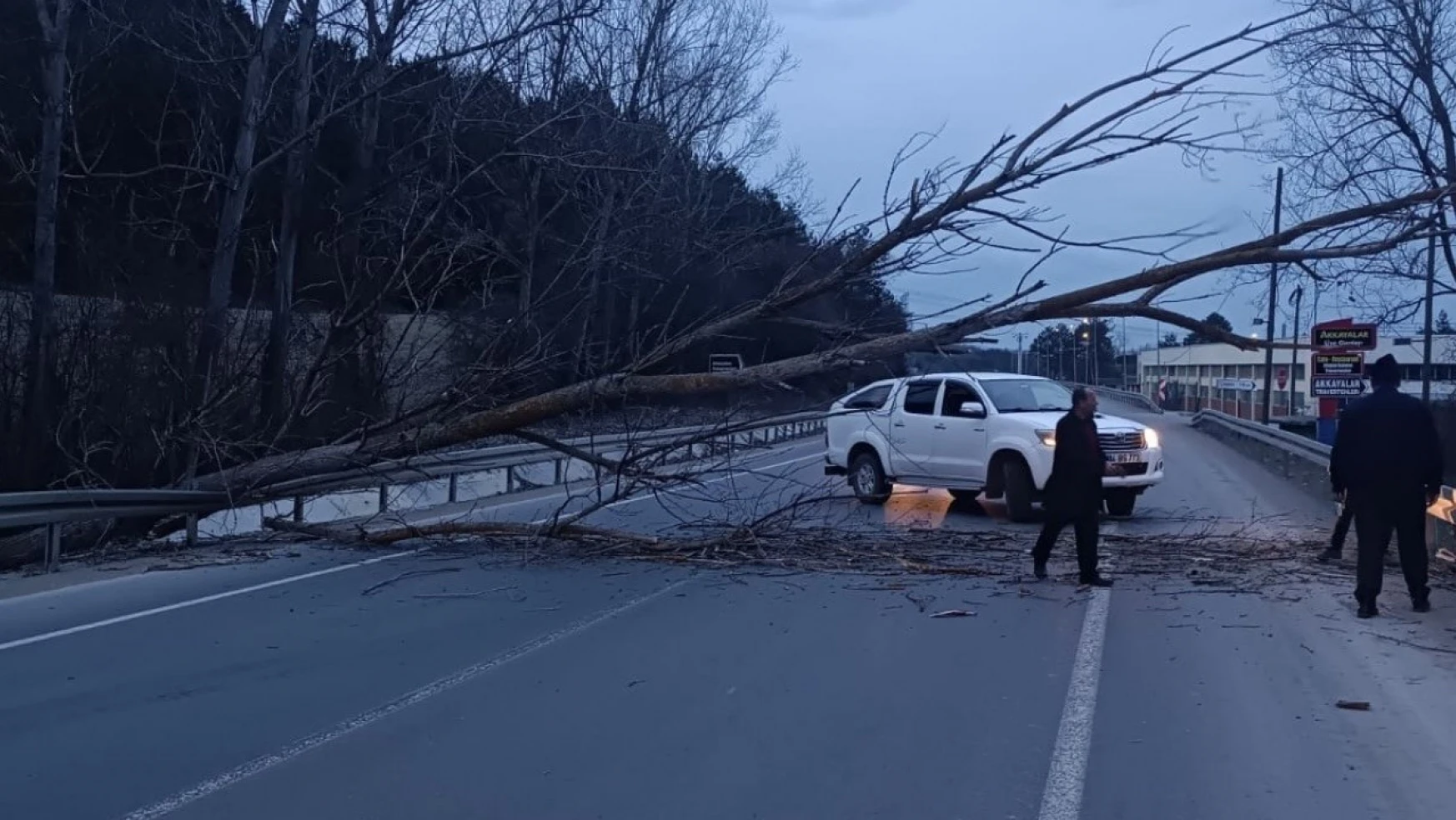 Bolu-Mudurnu yolunda devrilen ağaç yolu trafiğe kapattı