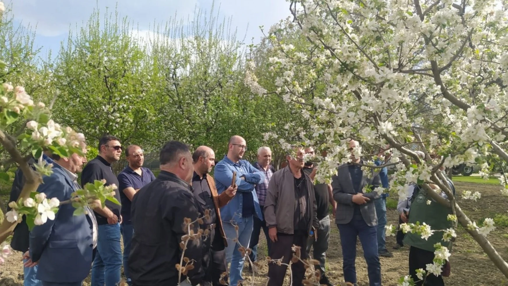 Erzincan'da uygulamalı 'Meyve Ağacı Budama' kursu verildi