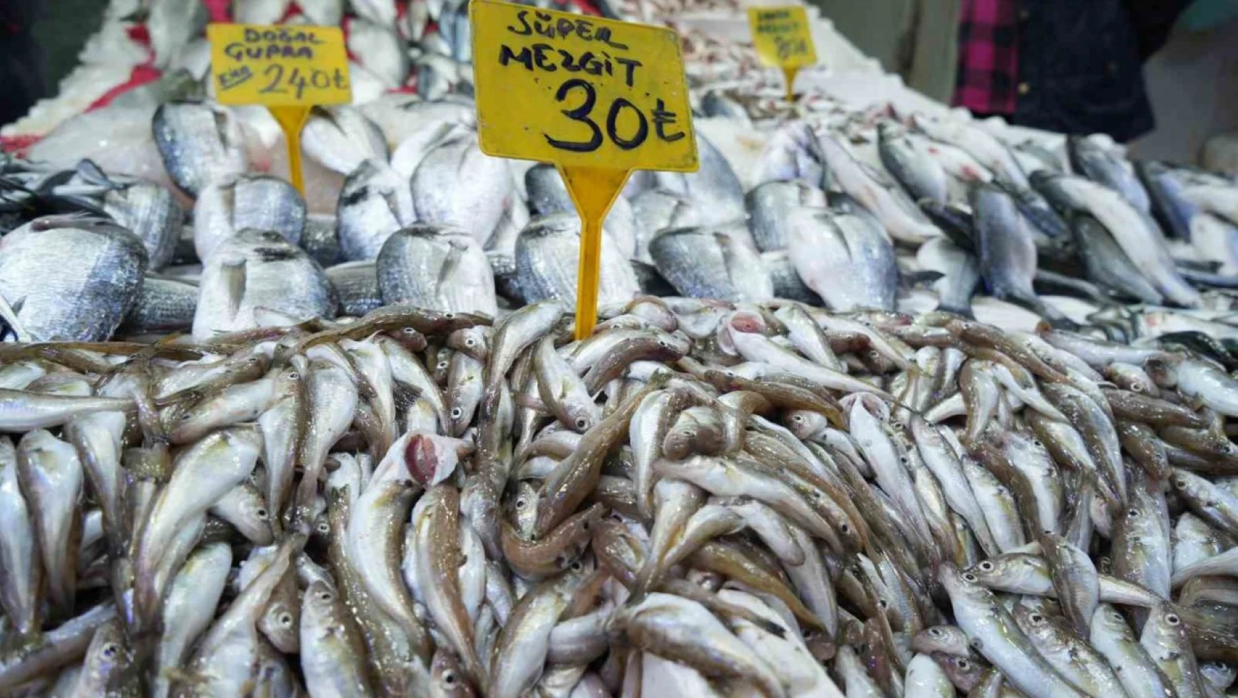 Kilosu 30 TL'ye satılan balıklara ilgi yok denecek kadar az