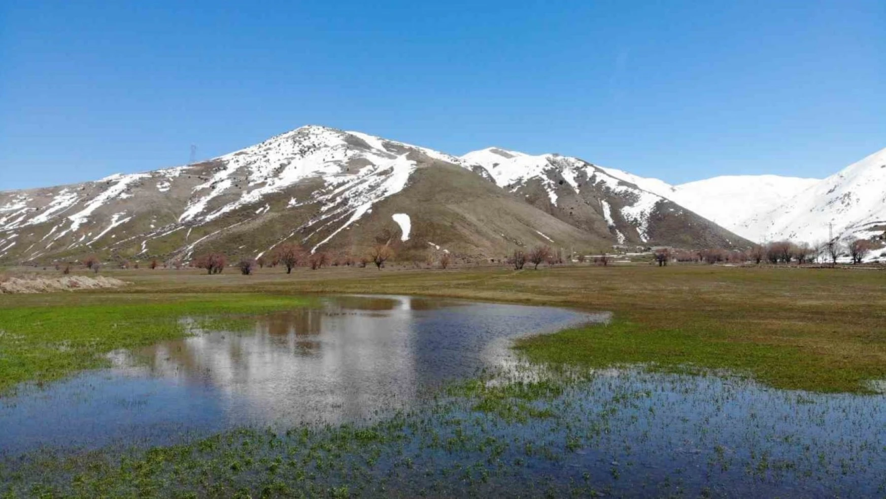 Tatvan'da tarım arazileri suya gömüldü