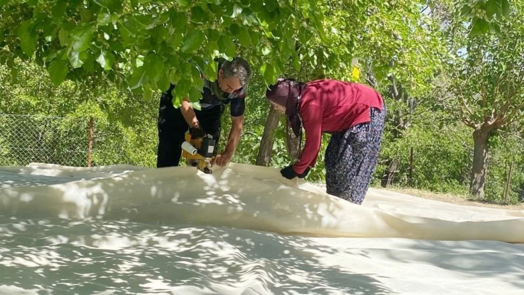 Tunceli'de dut üreticileri dayanışma içerisinde bahçelerini sezona hazırlıyor