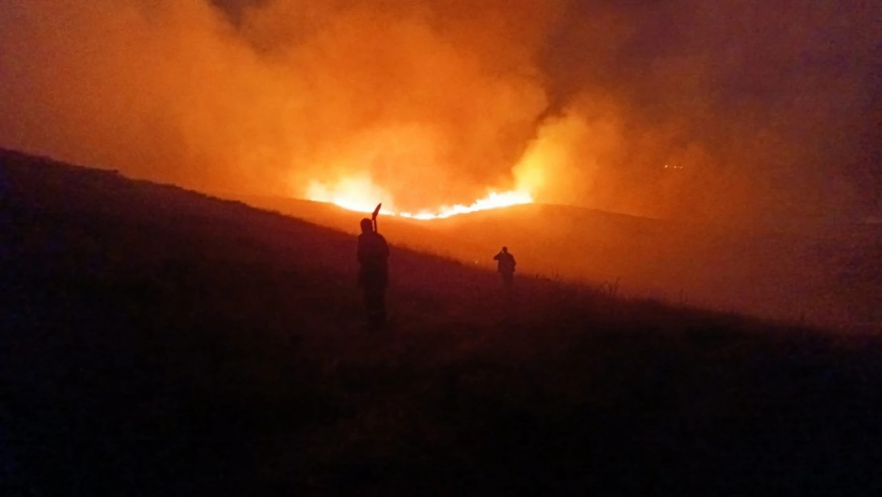 Varto'da anız yangını