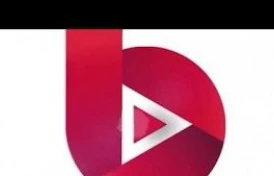 Iğdır'da bir minibüs dolusu göçmen kaçak yakalandı