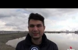 Muş Ovası'nda bazı bölgeler eriyen kar ve sağanak nedeniyle suyla kaplandı