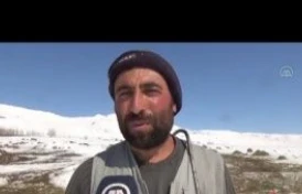 Muş'ta besiciler hayvanlarını kar üstünde beslemeye devam ediyor