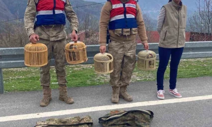 Bitlis'te keklik avcılarına 34 bin lira para cezası