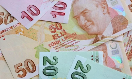 e devlette birikmiş paranız olabilir! E devlette unutulan para sorgulama