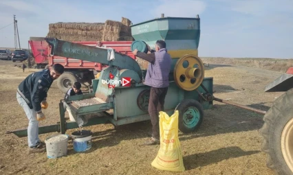 Erzurum'da 200 yıllık Ata tohumunun ticaretini yapmaya başladı