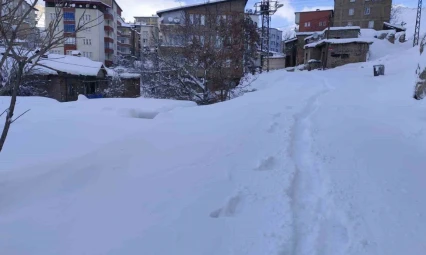 Hakkari'de 18 köy ve 64 mezra yolu ulaşıma kapandı