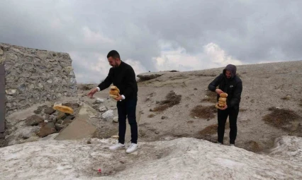 Karla kaplı Nemrut'taki yabani hayvanlar unutulmadı