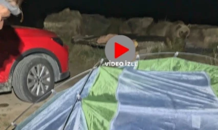 Polonyalı turist ayı saldırısından son anda kurtuldu