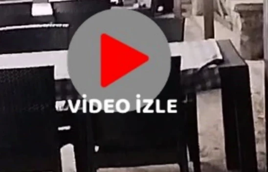 Aç ayı restoran bahçesinde yemek ararken görüntülendi