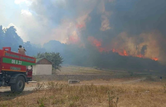 Kızılcahamam'daki yangının tanığı: 'Birden kıvılcım geldi, çok korktum'