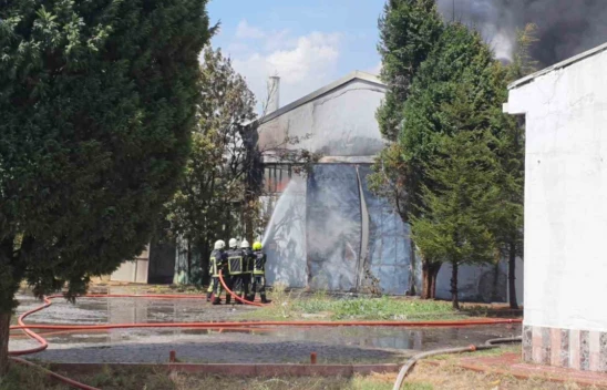 Sünger fabrikasında büyük yangın