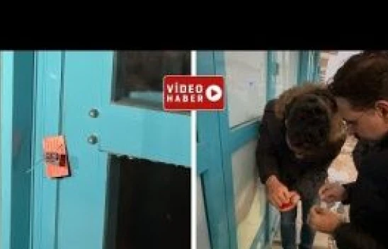 Ağrı'da zincir marketler kapatılıyor