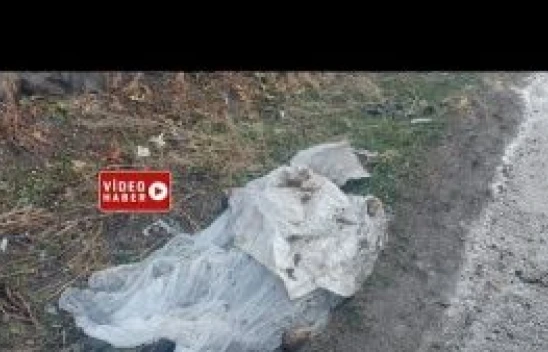 Ağrı Tutak karayolundaki kazada 7 kişinin yanmış cesedine ulaşıldı