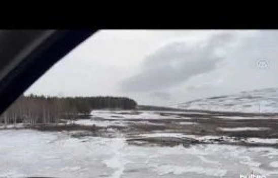 Ardahan'da aç kurtlar kent merkezine indi