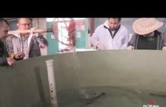 Atatürk Üniversitesi denizsiz kentte öğrencilerine balıkçılığı da öğretiyor