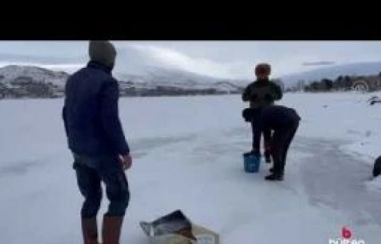 Atlı kızaklar bu kez yiyecek bulamayan yaban hayvanları için mesai yaptı