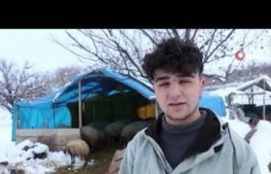 Bayburt'ta koyunların kuzulamaya başlamasıyla ağıllarda tatlı bir telaş yaşanıyor