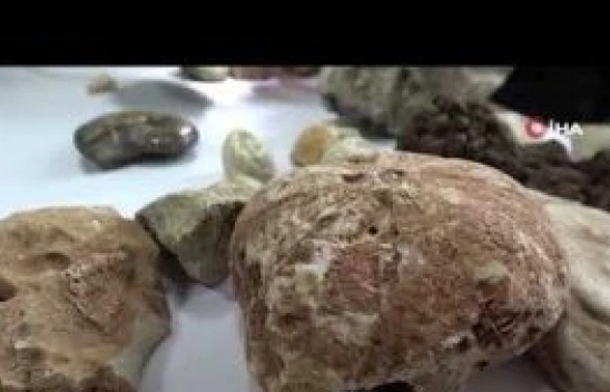 Bitlis'te tarihe ışık tutacak milyonlarca yıllık fosil bulundu