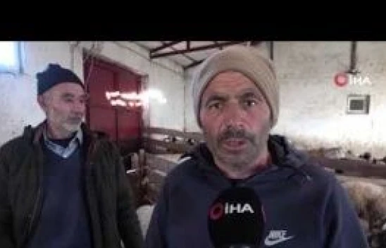 Elazığ'da 20 bin Liraya çalıştıracak çoban bulamıyorlar