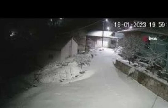 Elazığ'da aç kalan tilki köye indi