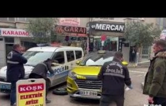 Elazığ'da çıkan çatışmanın arasında kalan kedi vuruldu