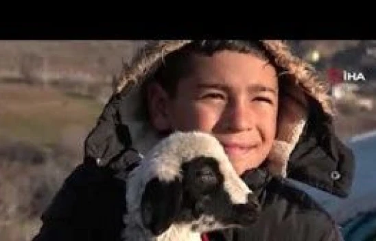 Elazığ'da koyun ve kuzuların renkli buluşması