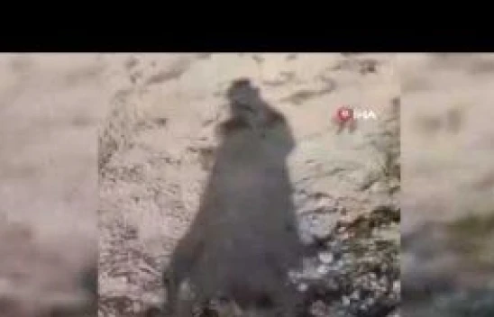 Elazığ Palu'da görüntülenen zemin sıvılaşması korkuttu