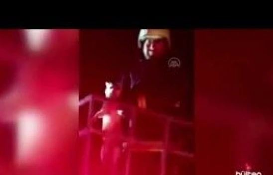 Elektrik direğinde mahsur kalan kedi kurtarıldı