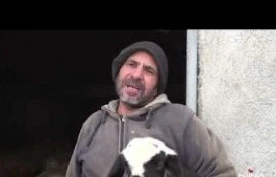 ERZİNCAN - Göçerlerin ağıllardaki zorlu &quotkuzu" nöbeti