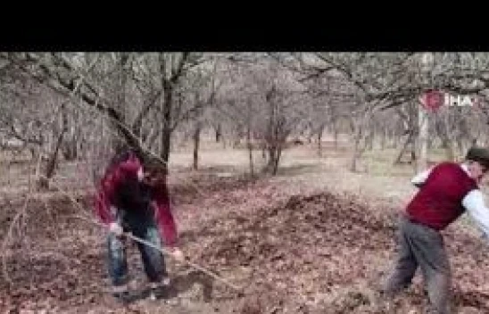 Erzurum'da bahar hazırlığı başladı