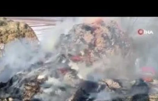 Hakkari Yüksekova'da 4 bin bağ ot yandı