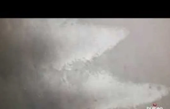 Haydi Ağrı, pamuk eller cebe! Bu aile 300 TL kirayı bile ödeyemiyor