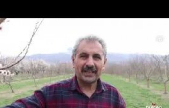 Iğdır'da kayısı bahçeleri bahar renklerine büründü