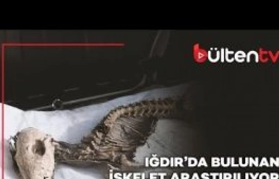 Iğdır Üniversitesi, kentteki kazıda bulunan hayvan iskeletinin türünü araştıracak