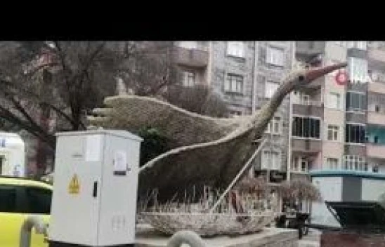 Iğdır'da fırtına