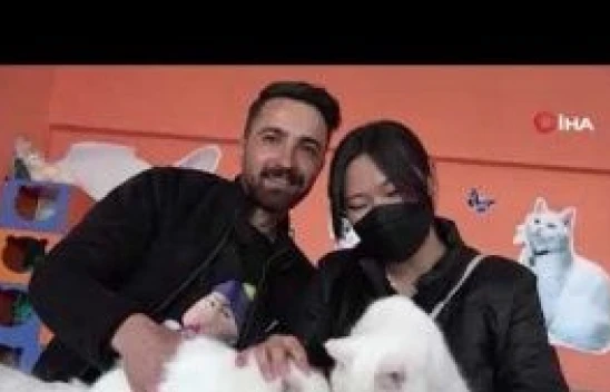 Japon geline Van usulü düğün