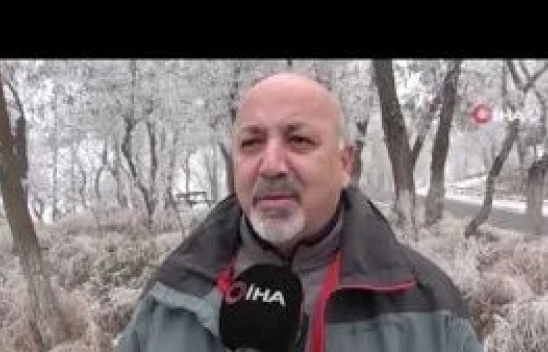 Kar değil kırağı yağdı