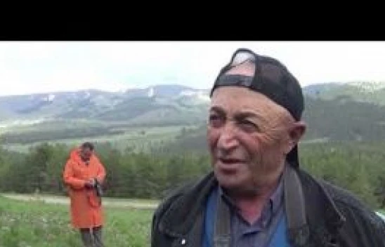 Kars'ta 'sarı dudak' laleleri büyüledi