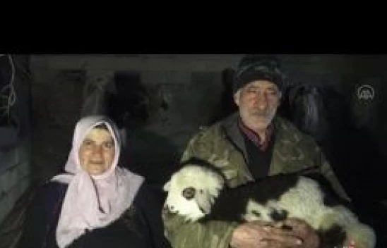 Kars'ta zorlu kışın ardından doğan oğlak ve kuzular besicileri sevindirdi