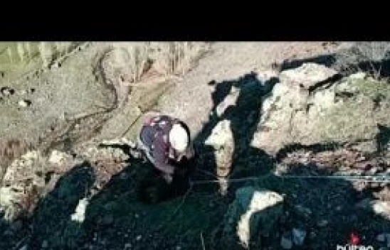Kayalıklarda mahsur kalan keçiler ekiplerce 2 saatte kurtarıldı