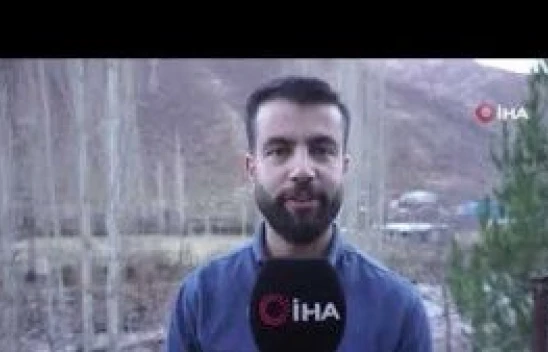 Küresel ısınma arıları da etkiledi