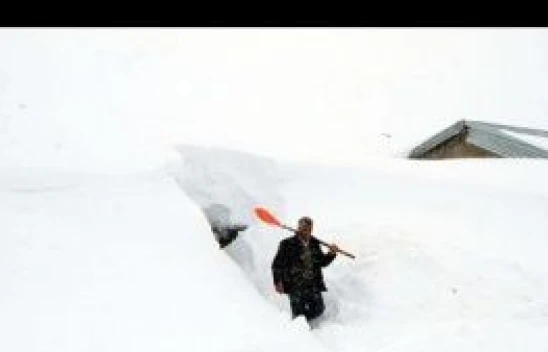 Muş'un Yukarıyongalı köyünde evler kar altında kaldı