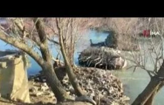 Nehirde mahsur kalan köpek kurtarıldı