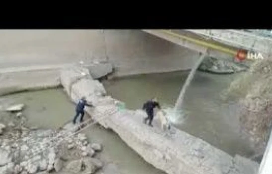 Oltu Çayı'nda köpek kurtarma operasyonu