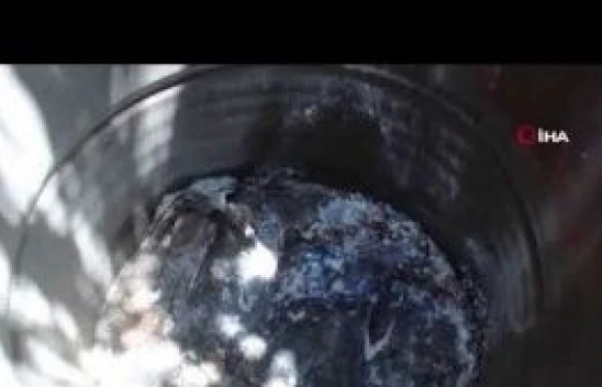 Pınar Gültekin'in katiline ağırlaştırılmış müebbet