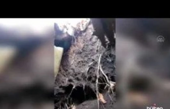 PKK'lı teröristlerce kullanılan sığınak imha edildi